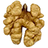 گردو