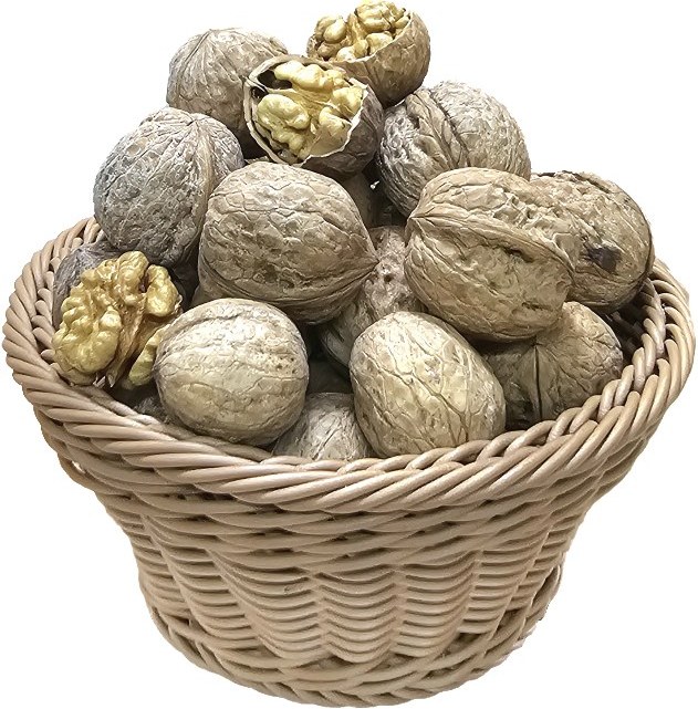 فروش داخلی گردو